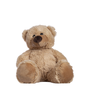 Small Teddy Bear