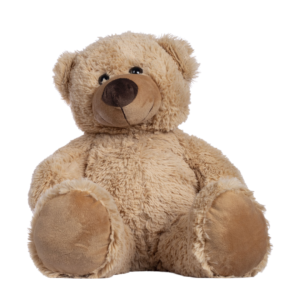 Medium Teddy Bear